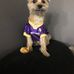 Vince Kramer - Facebook