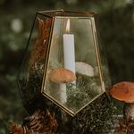 Vincent Kramer - @vincentkramer511692 - Instagram