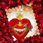 Vincent Kumar - @kumar.vincent - Instagram