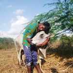 Vincent kumar - @vincentkumar73 - Instagram