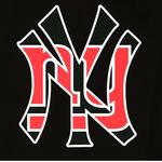 Vincent LaBarbera - @yankeefanvinny - Instagram
