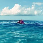 Vincent Abruzzo - @vincentabruzzo - Instagram