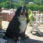 Vincent Lacroix - @vincent.lacroix.68 - Instagram