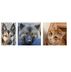 Vincent Lacroix - Facebook