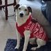 Vincent Ladd - Facebook
