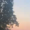 Vincent - @vincentlalar - TikTok