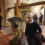 Vincent Lalanne - @lalannevincent - Instagram