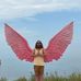 Vincent Lambrechts - Facebook