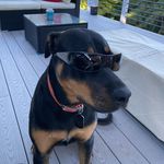 Vincent Lancisero - @vincentlancisero - Instagram