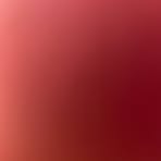 Vincent Landeros - Facebook