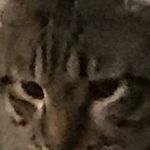 Vincent Landeros - @person678098 - Instagram