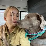 Vincent 🐶 & Lara - @lara_y_vincent - Instagram