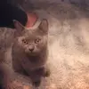 Vincent Lau - @vincentu1 - TikTok
