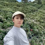 Vincent Leong - @vincent_ljq - Instagram
