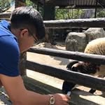 Vincent Leong - @leonggangwei - Instagram