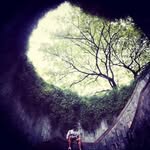 Vincent Leong - @vincent161231 - Instagram