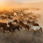 Vincent Loftus - @westerntexasus - Instagram