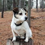 Vincent Lowden - @vincent.lowden - Instagram
