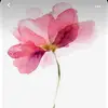 Vincent Lujan - @vincentlujan1845 - TikTok
