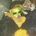 Vincent Lujan - Facebook