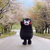 Vincent_lung - @user8jp18keo2v3 - TikTok