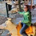 Vincent Lutz - @einhornfunk - Instagram