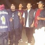 Vince Maciel - @vince.maciel.73 - Instagram