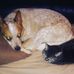 Vincent Mackay - Facebook