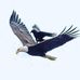Vincent Madu - Facebook
