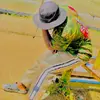 vincentmajor - @vincentmajor4 - TikTok