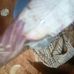 Vincent manda - Facebook