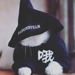 Vincent - @since_vincent_mango - Instagram