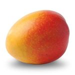 vincent van goh’s mango - @therealvincentmango - Instagram