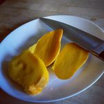 Vincent Van Mango - @vincevanmango - Instagram