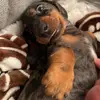 Vincent.Marble - @vincent.marble - TikTok