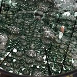 Vincent Massi - @vin.massi - Instagram