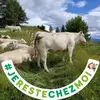 vincentmassieux - @vincentmassieux - TikTok