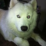 Vincent R. Mccall - @vincent1056 - Instagram
