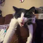Vincent McClellan - Facebook