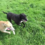 Vincent McKenna - @vincentmckenna3 - Instagram