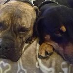 Vincent N Sharon McKenna - @vincentnsharonmckenna - Instagram