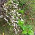 Vincent Edward McKenzie - Facebook