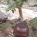 Vincent Meut - Facebook