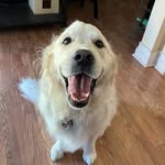 Vincent Messina - @messina7342 - Instagram