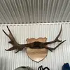 vincentmichaud381 - @vincentmichaud381 - TikTok