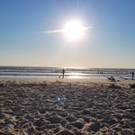 Vincent Michel - @vincent.michel.7564 - Instagram