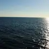 Vincent Michel - @vincent.michel4 - TikTok