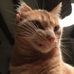 Jean - @vincentmoon - Instagram