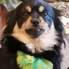 VincentMoon - @tin3668 - TikTok