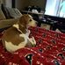 Vincent Moorman - Facebook